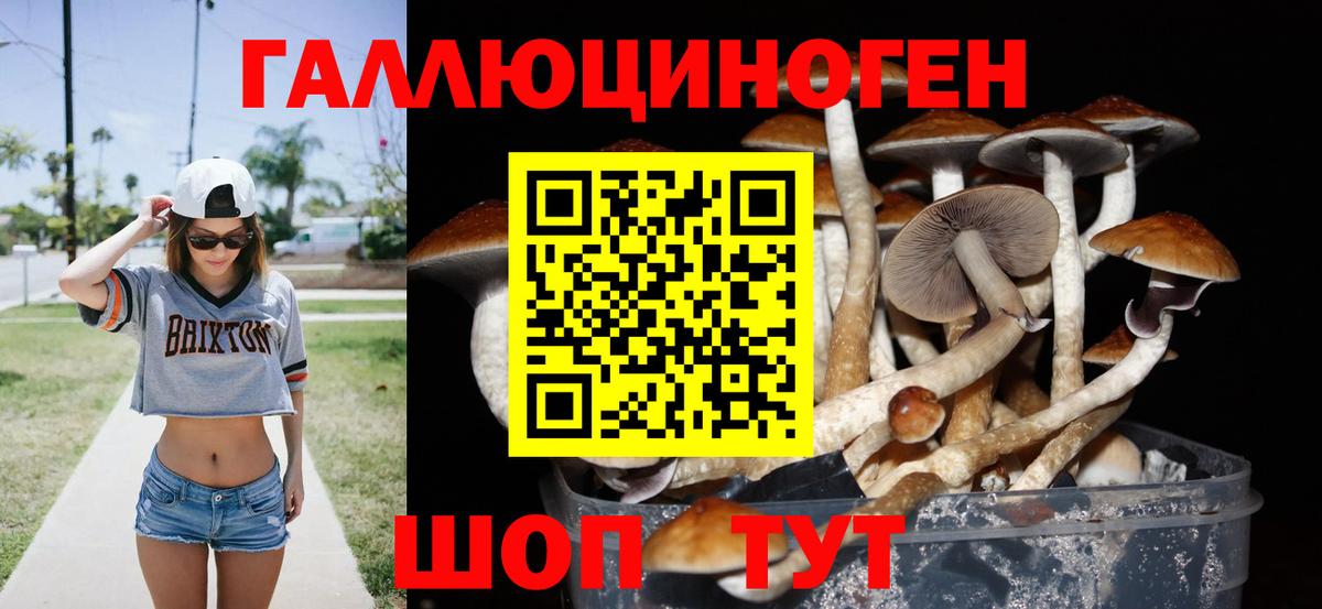 Чита  Псилоцибиновые грибы MAGIC MUSHROOMS  Вход с VPN 